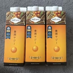 sajiberry 豊潤サジー 特濃タイプ 1000ml 3本セット - メルカリ
