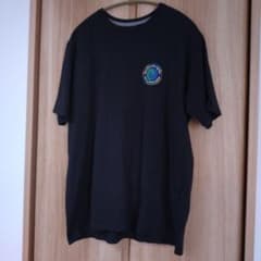 Patagonia パタゴニア Tシャツ Мサイズのサムネイル