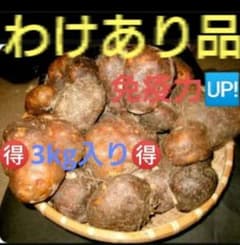 【夏バテ予防】丹波産山芋ワケアリ3キロ‼️令和7年11月収穫　とろろ 丹波産山芋ワケアリ3キロ‼️令和7年11月収穫 とろろ 夏バテ予防 疲労