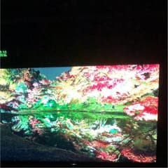 ソニー ブラビア 4K 液晶テレビ  55型 お値下げします‼️のサムネイル
