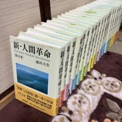 新・人間革命 11巻〜30巻下セット21冊 池田大作 - メルカリ