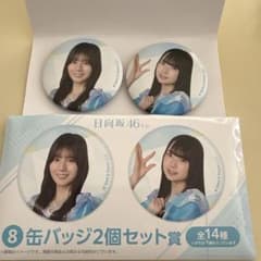 日向坂46くじ 缶バッジ2個セット賞のサムネイル