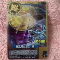 RYOTSU様 リクエスト 2点 まとめ商品のサムネイル