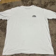 パタゴニア　Tシャツのサムネイル