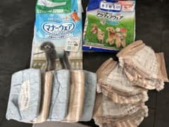 犬用マナーウェア 紙おむつ セットのサムネイル