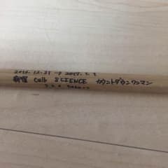 アヴァンチック Hyu-ga さん ドラムスティックのサムネイル