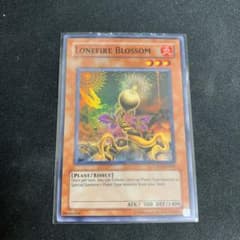 遊戯王 ローンファイア・ブロッサム　cp スーパーのサムネイル