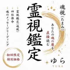 霊視鑑定/魂視/四柱推命/数秘術/魂のメッセージリーディング /恋愛/金