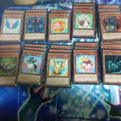 遊戯王 デストーイデッキ ファーニマルデッキのサムネイル