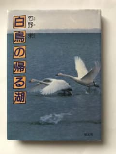 昭和レトロ 白鳥の帰る湖 竹野栄 旺文社 読書感想文 古書 - メルカリ