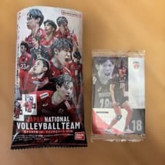 バレーボール男子日本代表 西山大翔 メタリックプラカードのサムネイル
