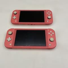 Nintendo Switch Lite 本体　ジャンク ニンテンドー Nintendo Switch Lite ジャンク 本体のみ - メルカリ