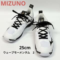 ミズノ MIZUNO ウエーブモーメンタム 2 バレーボールシューズ 25cm