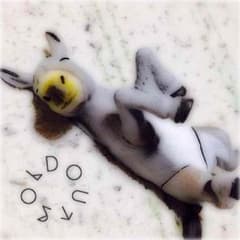 オレンジ様▷関ジャニ∞の元気が出るLIVE ハート クランチバックのサムネイル