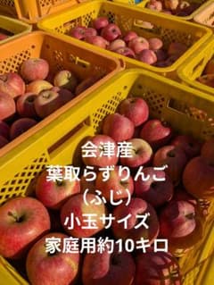 会津産 葉取らずりんご（ふじ） 小玉サイズ 家庭用約10キロのサムネイル