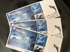 新江ノ島水族館招待券　3枚のサムネイル