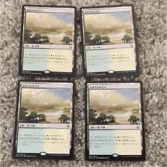 MTG まばらな木立ち 日本語4枚セットのサムネイル