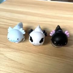 ウーパールーパーのサムネイル
