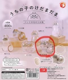 うちの子のけだまだま　サバトラのサムネイル