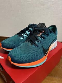 Nike ペガサスターボ2 27cmのサムネイル