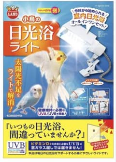 小鳥の日光浴ライトのサムネイル