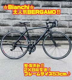 Bianchi BERGAMO ビアンキ ベルガモ フレームサイズ53 大阪引取 Bianchi BERGAMO ビアンキ ベルガモ フレームサイズ53 大阪引取 - メルカリ