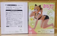그렇게 할 수 없는 그녀의 기르는 방법 사와무라·스펜서·영리들 Cat room wear