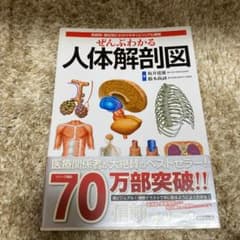 ぜんぶわかる人体解剖図 系統別・部位別にわかりやすくビジュアル解説のサムネイル