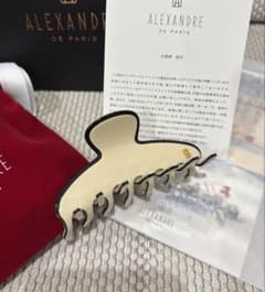 完売品】ALEXANDRE DE PARIS ヘアクリップ　リズレのサムネイル
