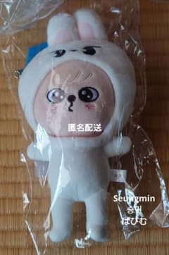 StrayKids TOYWORLD SKZOOスンミンリノぱぴむリビぬい新品 - メルカリ