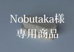 清　白たてがみブラシ【Nobutaka商品】 清 白たてがみブラシ【Nobutaka様 専用商品】 - メルカリ