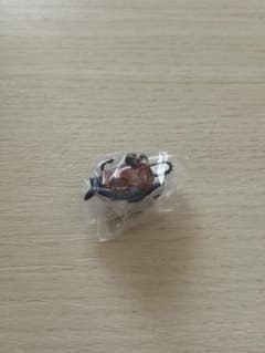 めじるしアクセサリーのサムネイル