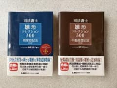 司法書士 雛形コレクション300（不動産登記法・商業登記法）のサムネイル