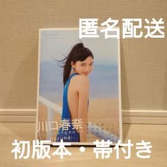 川口春奈 1st写真集 harunaのサムネイル
