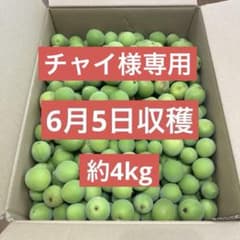 チャイ様専用　梅　青梅　約４kgのサムネイル