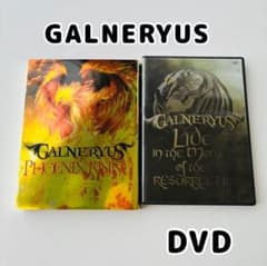 PHOENIX LIVING / GALNERYUS DVD特別版 GALNERYUS ガルネリウス PHOENIX RISING / ライブDVD - メルカリ