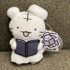 ラスト1点　早い者勝ち！　ホワイトタイガーとブラックタイガー 聖歌隊マスコット