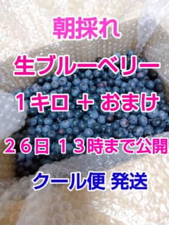 ブルーベリー １キロ＋おまけ クール(冷蔵)便発送 26日 13時頃までの掲載のサムネイル