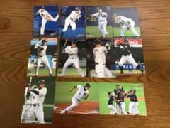 【11/30まで】プロ野球チップス カード 千葉 ロッテ マリーンズ