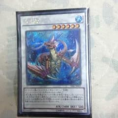コーラルドラゴン シク ぐっち様専用のサムネイル