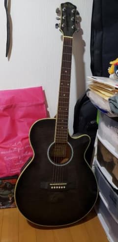 Pro Martin EA500BKS エレクトリックアコースティックギター Pro Martin EA500BKS エレクトリックアコースティックギター - メルカリ