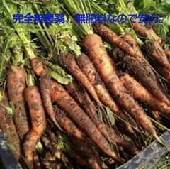 自然栽培　人参　10キロ　B品込　無農薬　無肥料のサムネイル