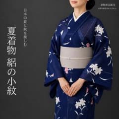 夏160】夏着物 絽 小紋 単衣 青 ピンク 対象身長～156cm 単品販売
