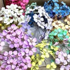 CMK様専用☆訳あり小手毬セット×2セットのサムネイル