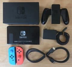 ジャンク品　Nintendo Switch Super Zangyura Nintendo Switch™ (Deluxe Edition)