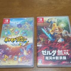 スイッチソフト　ゼルダ無双とポケモンのサムネイル