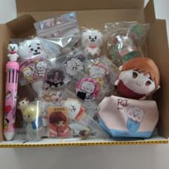 BT21 RJ 봉제인형 마스코트 정리 세트