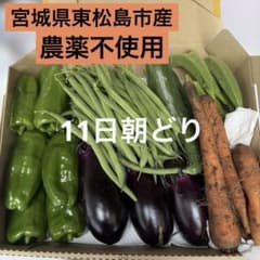 宮城県東松島市産農薬不使用 朝どり野菜セット コンパクトB1100g(風袋込)のサムネイル