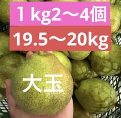 【大玉】山形県産加工用ラフランス19.5〜20キロ(箱資材込　硬いラフランスのサムネイル