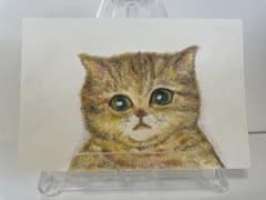 猫ちゃん色鉛筆イラストわんちゃんおまけ付きのサムネイル